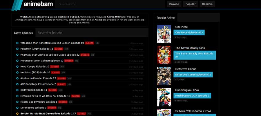Top 20 Best Dubbed Anime Streaming Sites