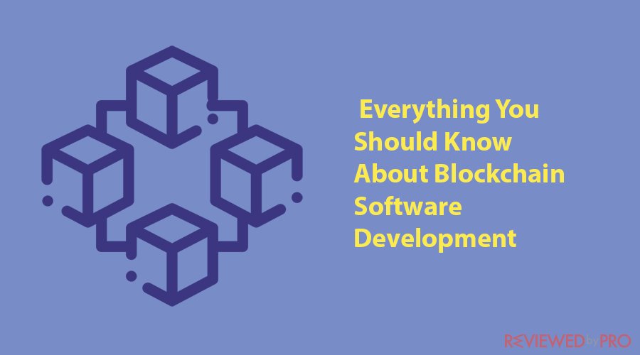 Everything You Should Know About Blockchain Software Development