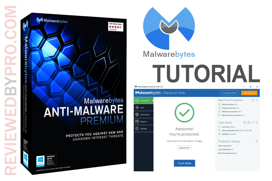 malwarebytes manual